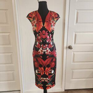 Ted Baker London Floral Illusion Bodycon Dress – Size 2